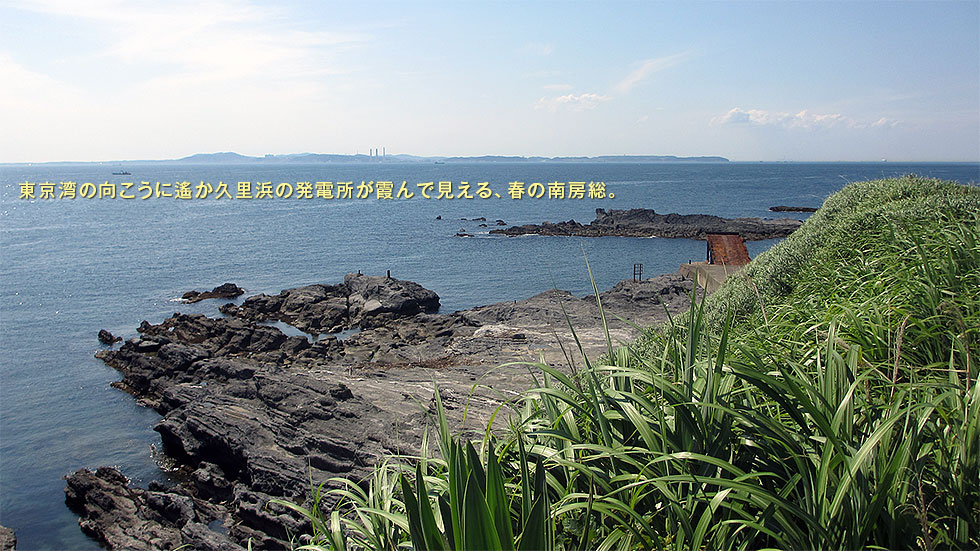 春の房総