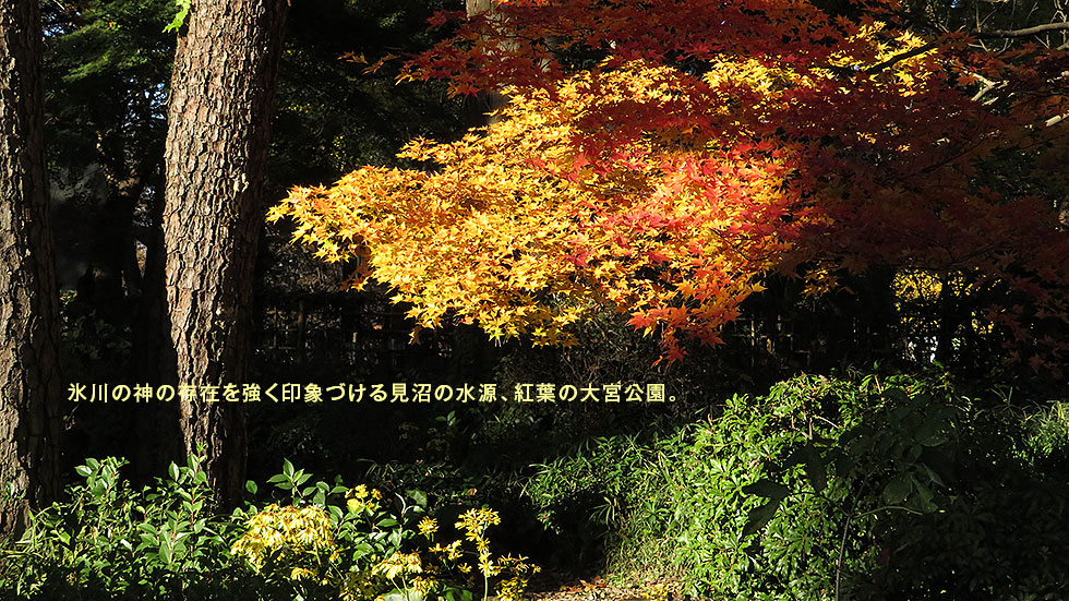 ひかわじんじゃ