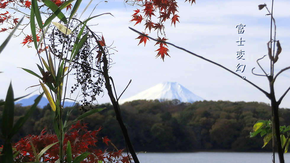多摩湖富士