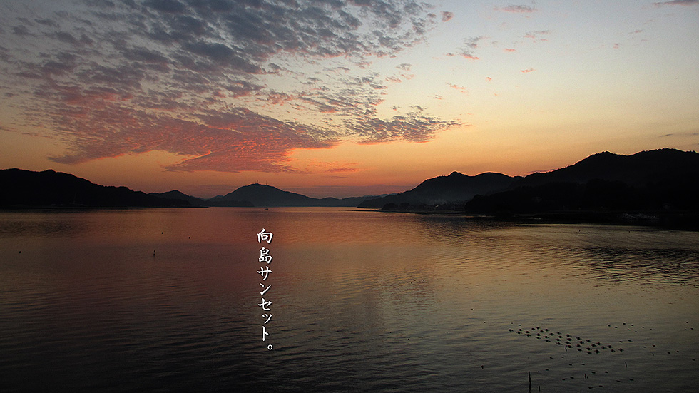 向島夕日